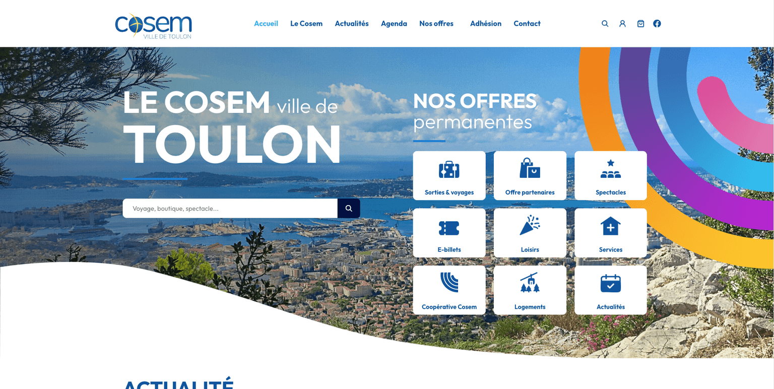 Aperçu desktop du site COSEM