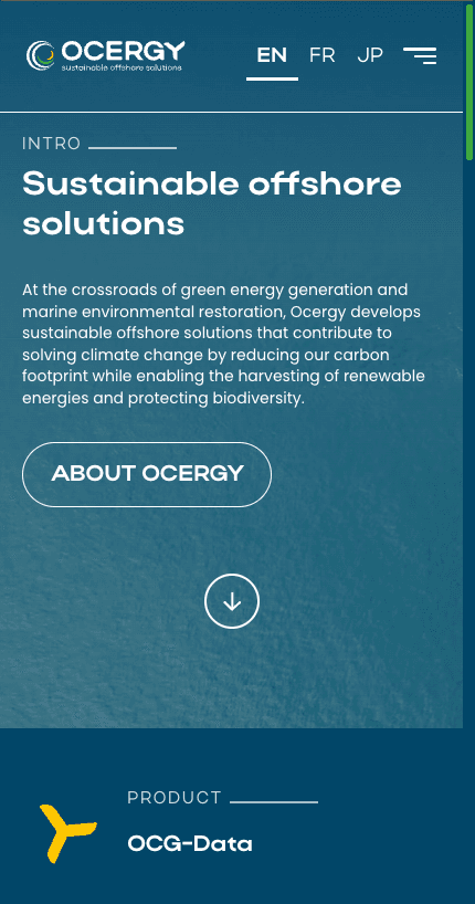 Aperçu mobile du site Ocergy