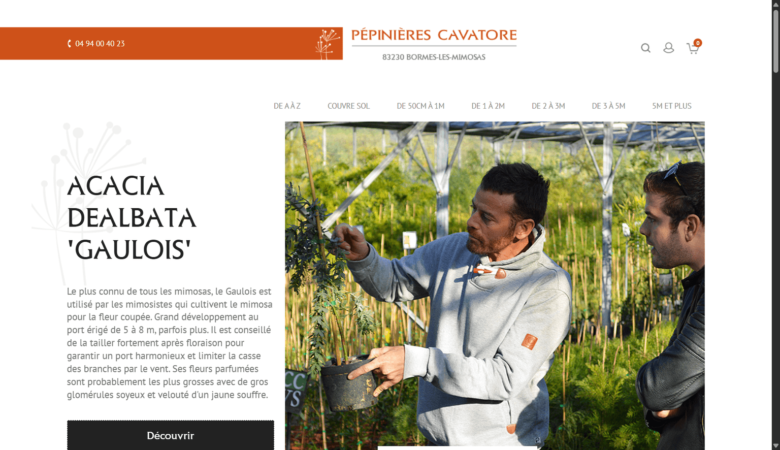 Aperçu desktop du site Pépinières Cavatore