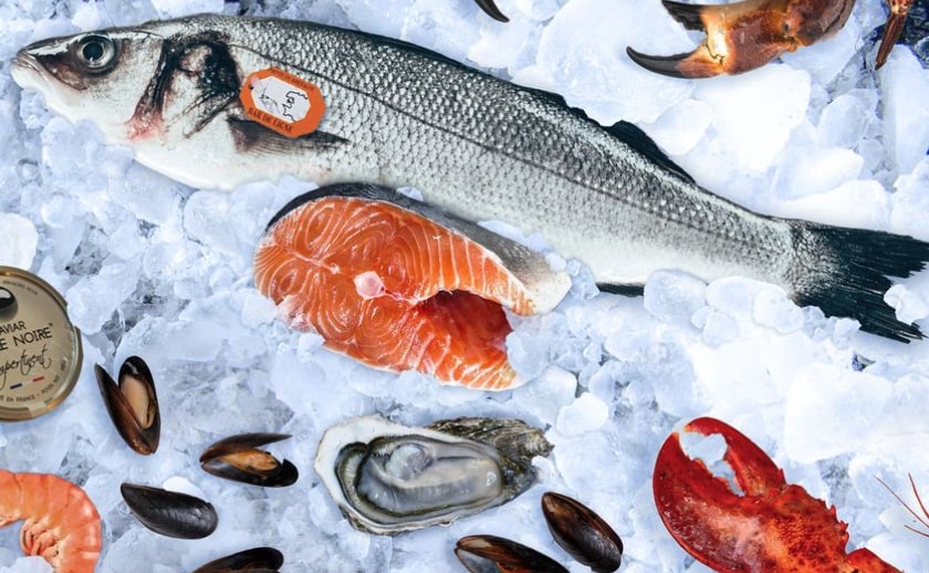 Photo de couverture de page d'accueil du projet de site e-commerce PrestaShop de Fish & Clic par l'agence web Getup Agency à La Farlède, dans le Var.